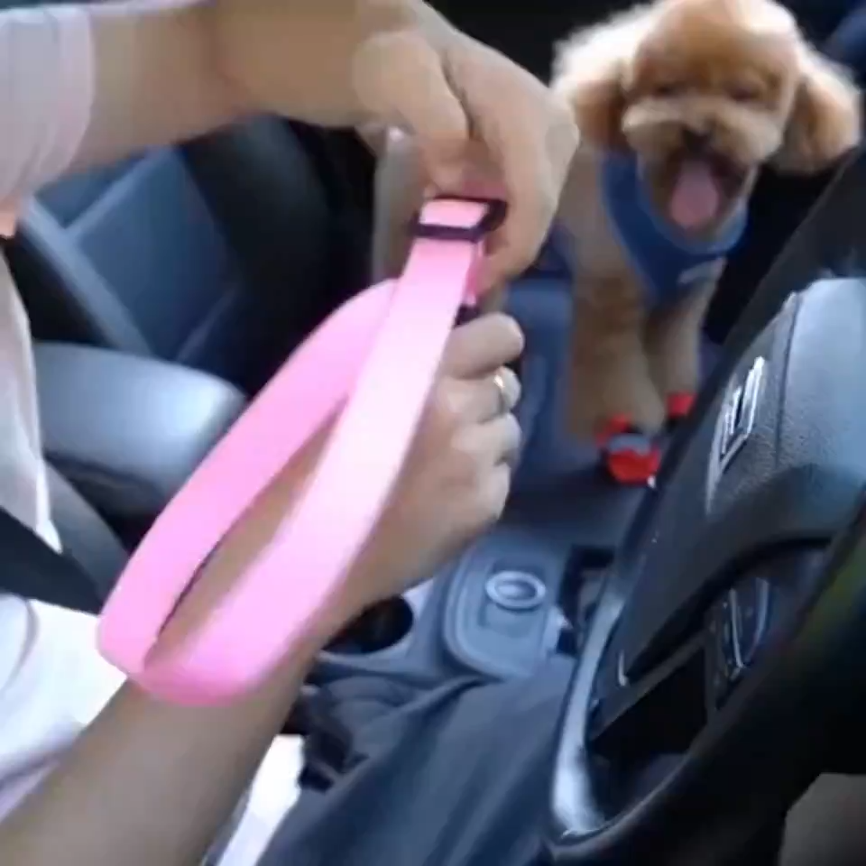 Adjustable Pet Car Seat Safety Belt