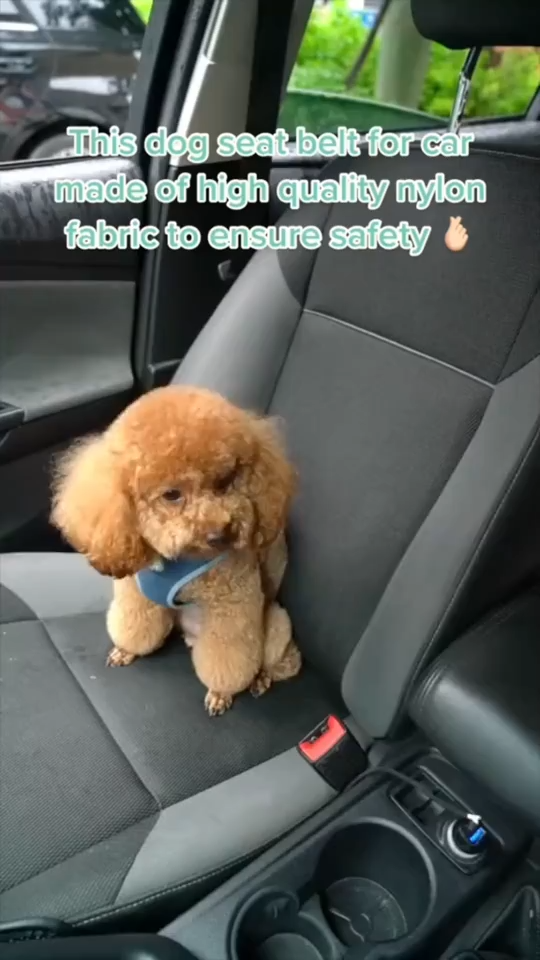 Pet Car Seat Belt - Multiple Colors