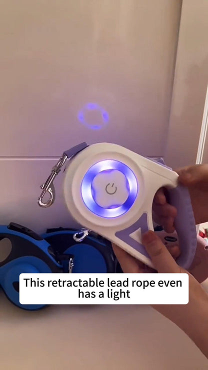 LED Dog Leash - In Use